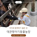 동물농장 | 강릉가볼만한곳 대관령 아기동물농장 후기