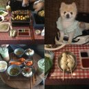 다솜애견 | 태안 풍경펜션 : 가성비 오션뷰 애견동반 숙소 추천 숯불 야키토리 일본가정식 조식 그린나래 솔직후기