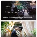 채하 | 가성비 영상미 둘다 놓칠수 없는 예신의 느좋 본식 DVD 채하필름 계약후기