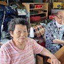 미래세탁소 이미지