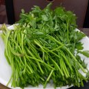 동명복돼지
