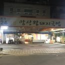양산왕돼지국밥 이미지
