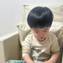 붕붕종합카 이미지