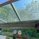 주공8차아파트 앞 이미지