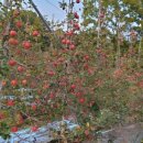 우나멜로팬션 이미지