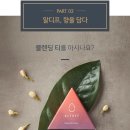 알디프
