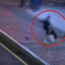 동부태권도 이미지