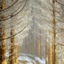 삼례토종닭 | 완주 맛집 추천! 전라도 현지인 찐 후기