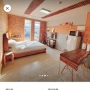 주니히로