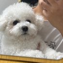 대천항작은도서관 | 24년 12월