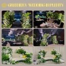 플렌티숲 이미지