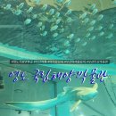 (주)해양무선 이미지