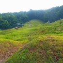 이숙번 묘 | 강희맹 가족묘역 신도비와 묘지상석