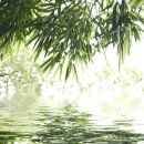 유니온메디케어 | 방수커버