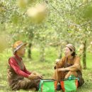 얼음골막걸리 이미지