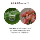 알렌바이오 | 교원 웰스) 알렌 바이오 듀이 플로르 풀라인 세트