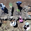 박지호농장 이미지