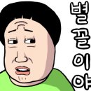 금화왕돈가스 네이버블로그