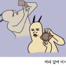쉼이있는자유 이미지