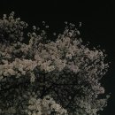 당신을위한노래 이미지