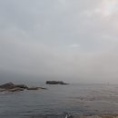 불가사리 에스프레소 동명항 영랑해변 속초 이미지