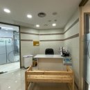 다솜고양이메디컬센터 이미지