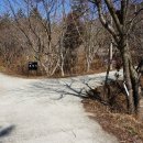 유천1제 이미지