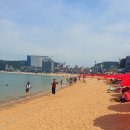 힐링 - 보성군 남부관광로 2326-1 | 힐링