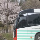 (주)미소여행사 이미지