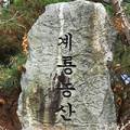 팜계룡쇼핑