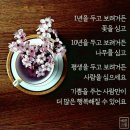 휴대폰기본요금인하 이미지