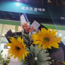 모코코플레르