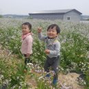 재호농장2 이미지