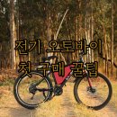 대한오토바이 | 전기 오토바이 첫 구매자를 위한 완벽 분석 후기