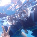 델코종합카프라자 | 괌 5박 6일 태교여행 일정과 타오타오씨 별빛투어 돌핀크루즈 후기