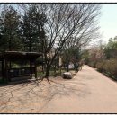 청룡사 등산로 이미지