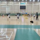 군산실내배드민턴장 이미지
