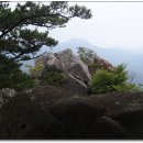 동서옥