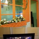 헤이독청주 이미지