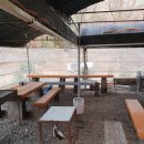 솔내음가득히 이미지