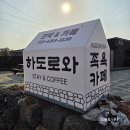 나동민박 | 민박과 족욕카페가 함께?! 제주도 감성카페 하도리 별방진 하도로와 Hadorowa :D
