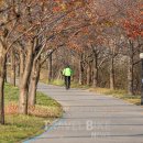 미소길탐방쉼터 이미지