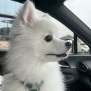 적선지가 덕양점 | 청도 적선지가 덕양점 내돈내산 후기