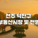 팔복동-02(팔복동주민센터) | 38. 전주 덕진구 부동산시장 및 전망. MICE 복합단지 개발, 팔복동 탄소 첨단산단.