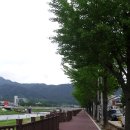 파리장서비 이미지