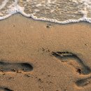 맨발 걷기의 효과는 플라시보일까? 이미지