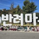 동물은내친구 이미지