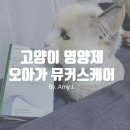 예민한 조이도 잘 먹는 위 건강 영양제, 올인원영양제추천 ‘오아가뮤커스케어’ 후기