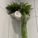 1인세신샵 윤 이미지