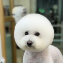 간지나개 네이버블로그